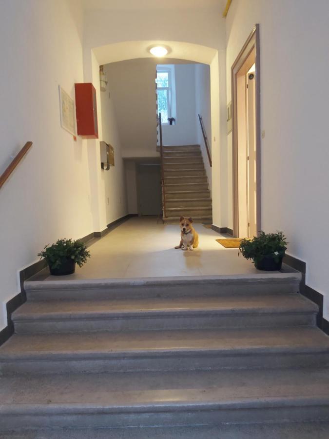 Apartman Draguc Pula Exterior photo